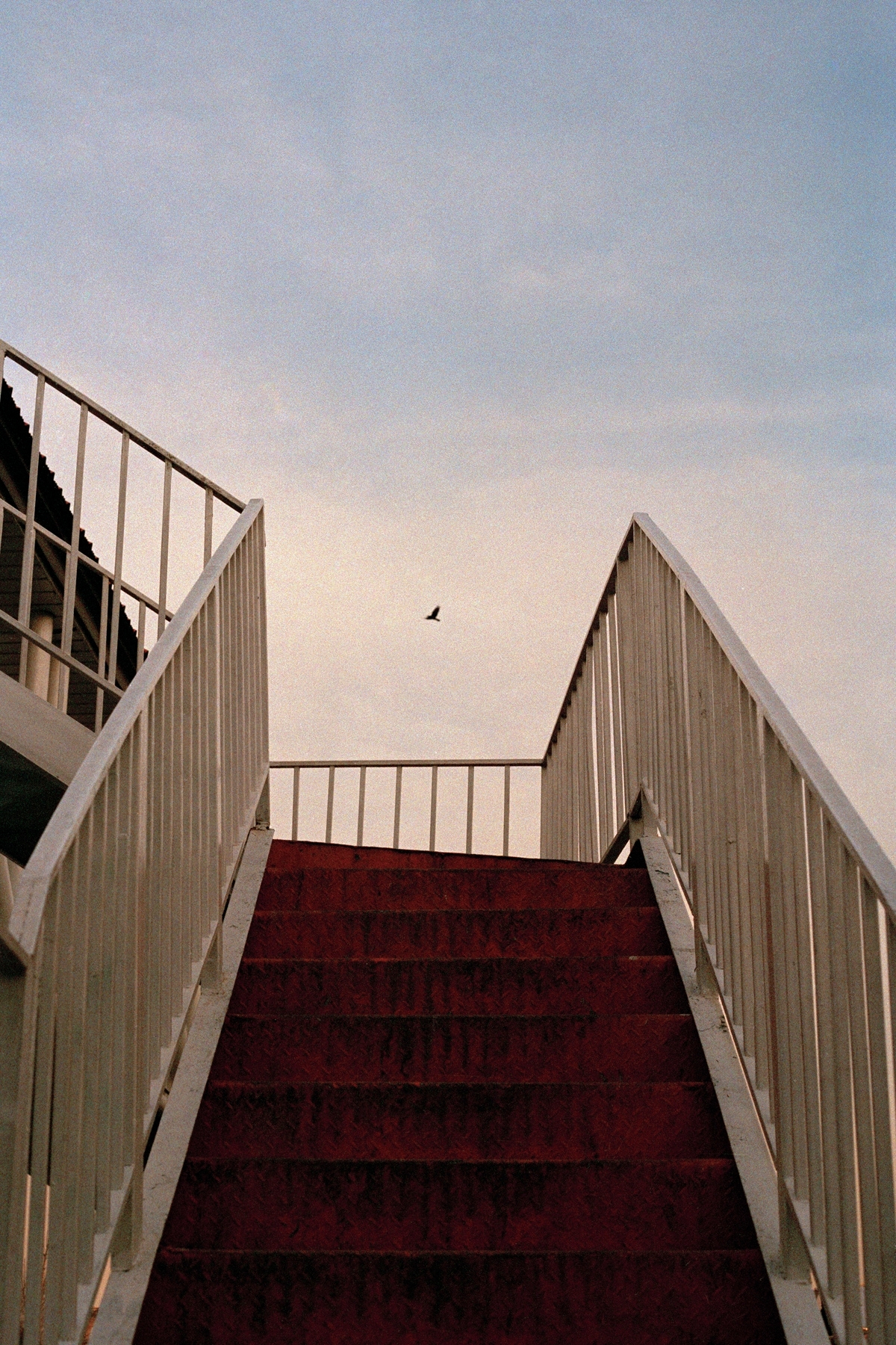 an image from 'on poetry and what remains' - a photography project by Laila Sieber featured on blume