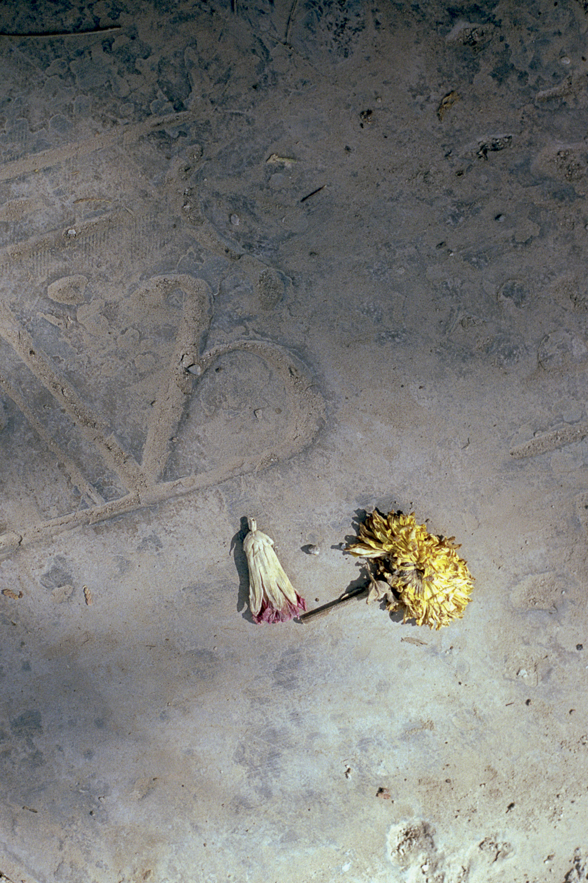 an image from 'on poetry and what remains' - a photography project by Laila Sieber featured on blume