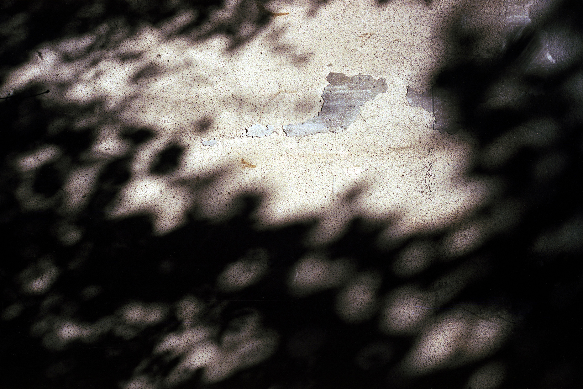 an image from 'on poetry and what remains' - a photography project by Laila Sieber featured on blume